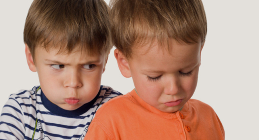 Ссоры детей в семье – методы примирения
