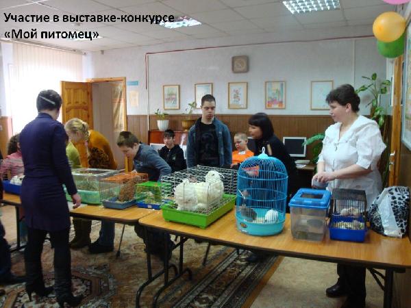 Мой питомец