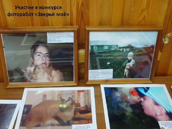 Мой питомец