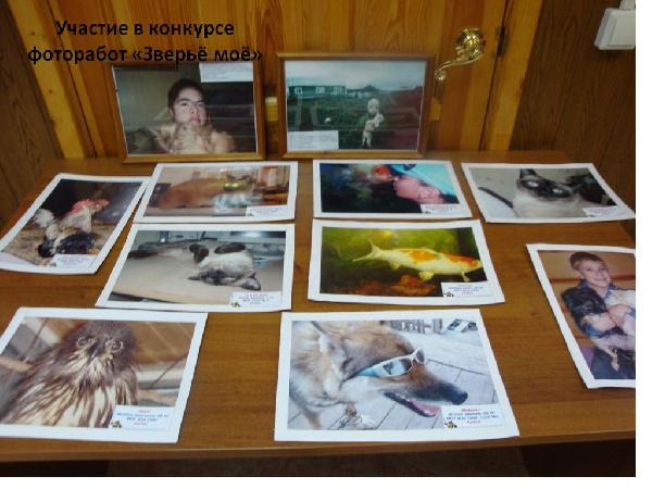 Мой питомец