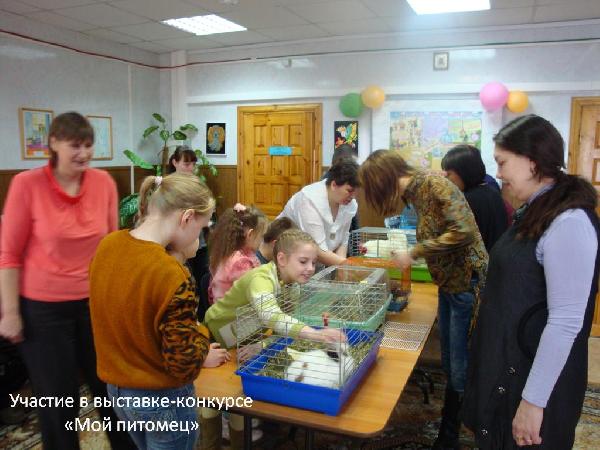 Мой питомец