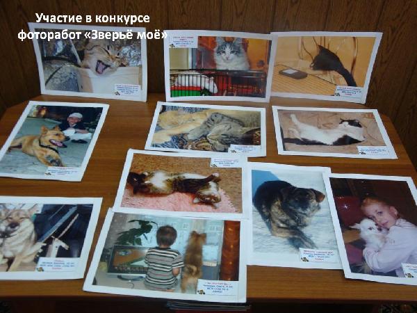 Мой питомец
