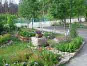 Подарок любимому городу