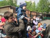 Лучшие мероприятия фотоэстафеты. Северск. Волонтерское движения