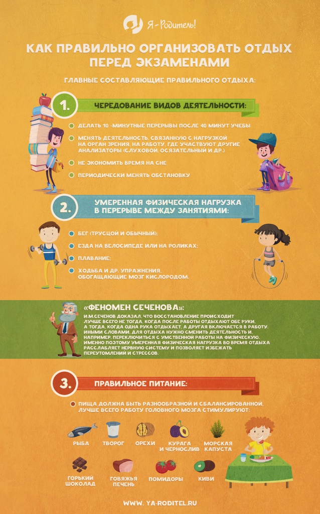 Как правильно организовать отдых перед экзаменами