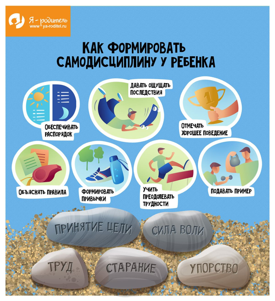 infografika_DTD_1716185550 (1).jpg