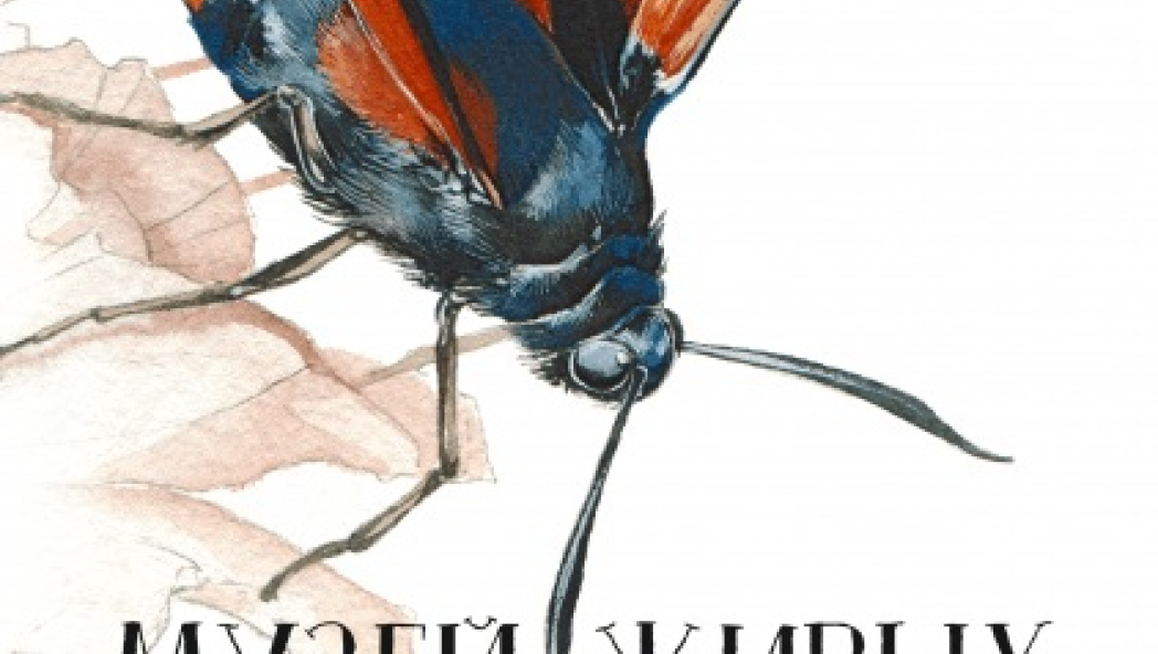 Франсуа Лассерр «Музей живых насекомых»