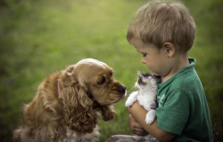 Роль домашних животных в воспитании эмпатии