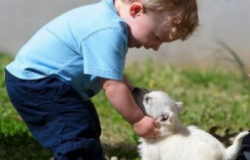 «Око за око»: учим малыша сочувствию?
